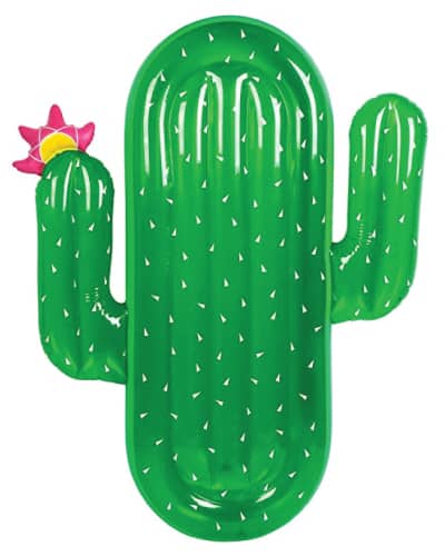 cactus pool floats